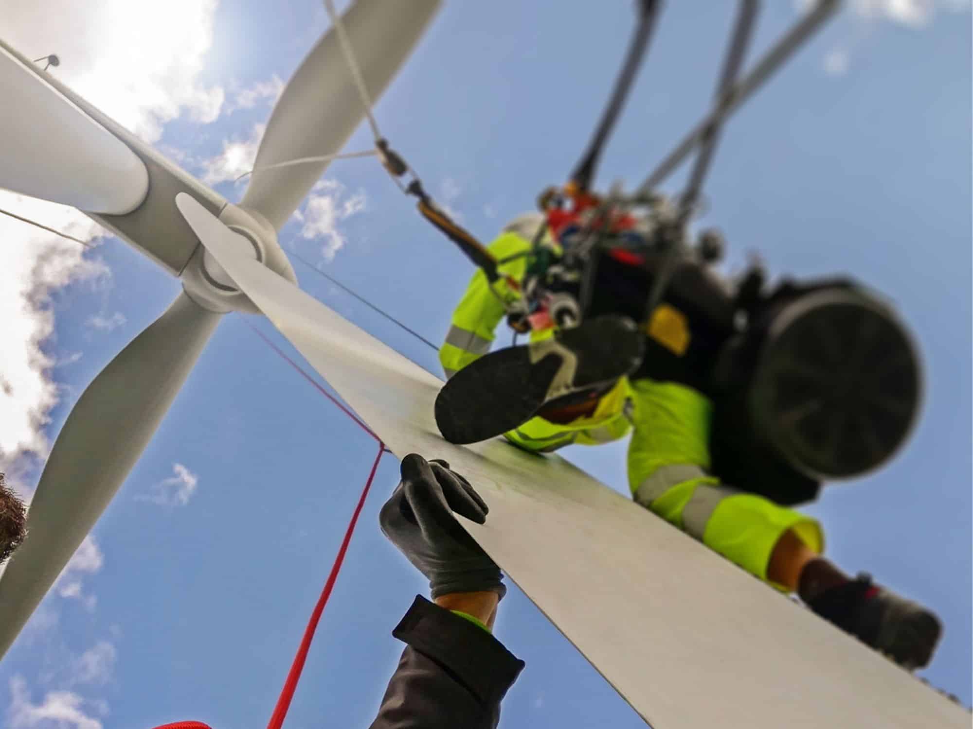 Renewable Energy Executive Search